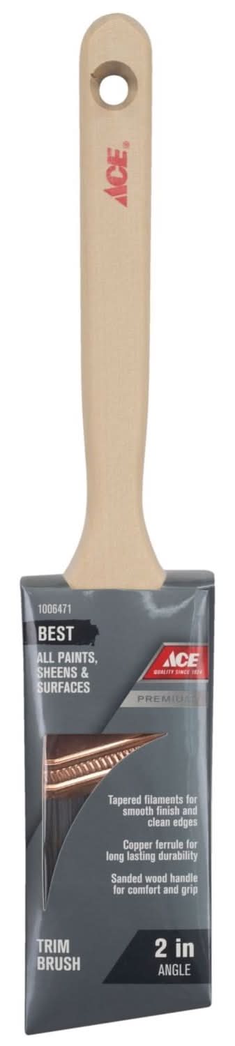 ACE Best 2 In. Angle Paint Brush