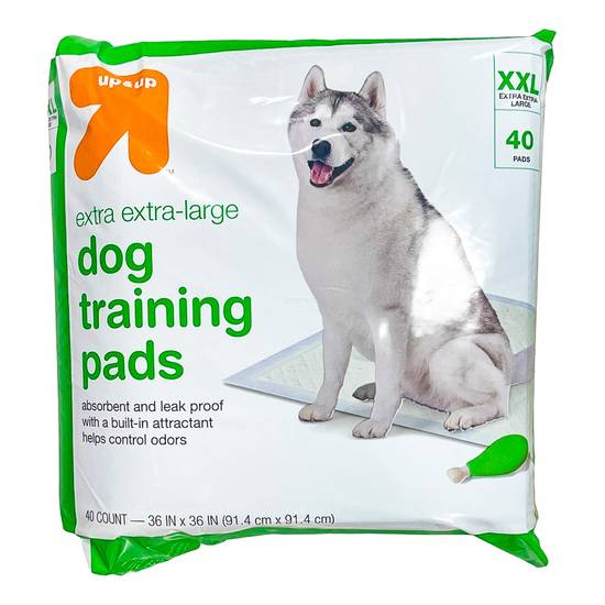 Up&Up Puppy & Adult Dog Training Pads (xxl)