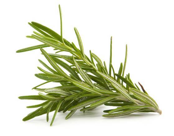 Miravalle Rosemary