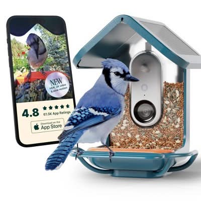 Bird Buddy Smart Bird Feeder With Camera and Solar Roof