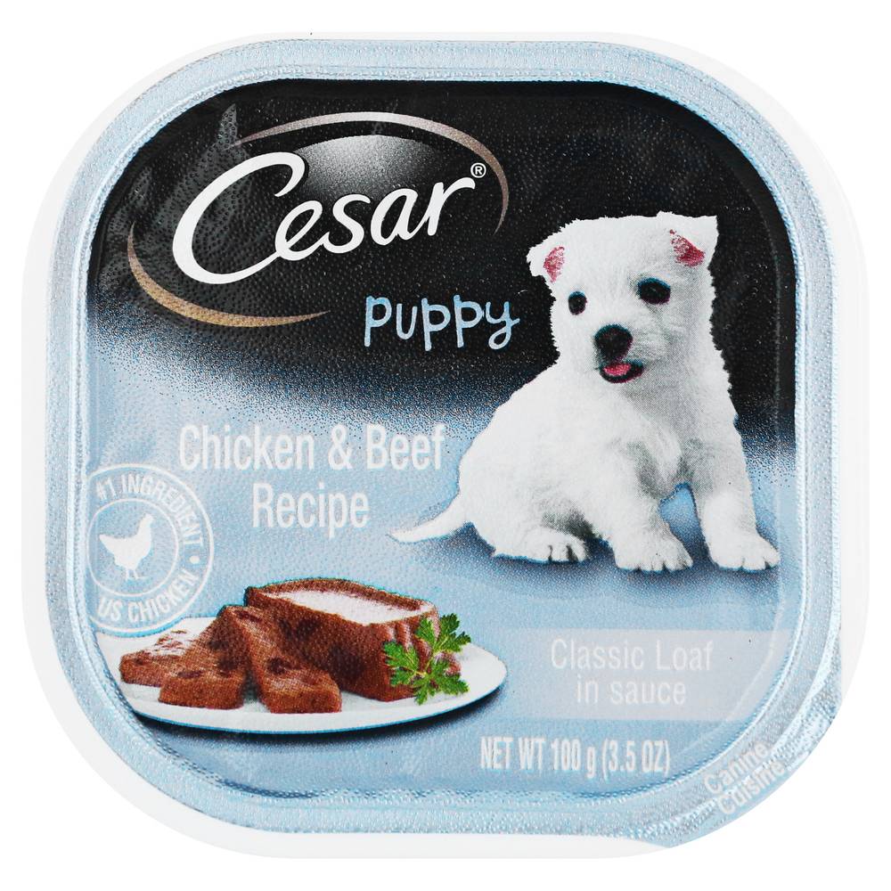 petsmart cesar dog food