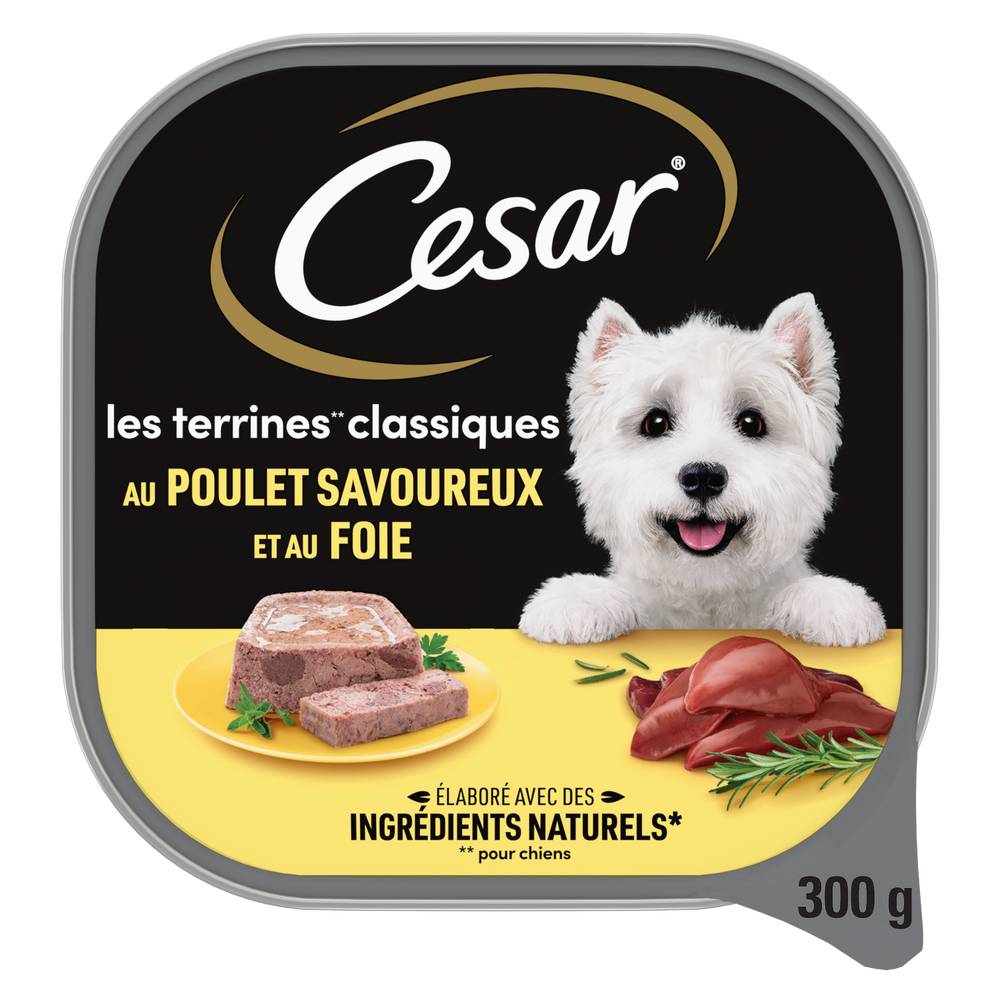 Cesar - Les terrines classiques au poulet et au foie pour chien adulte