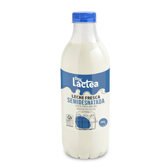 Leche fresca semidesnatada Dia Láctea botella 1 l