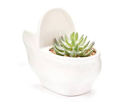 Artificial Succulent in White Ceramic Toilet Pot