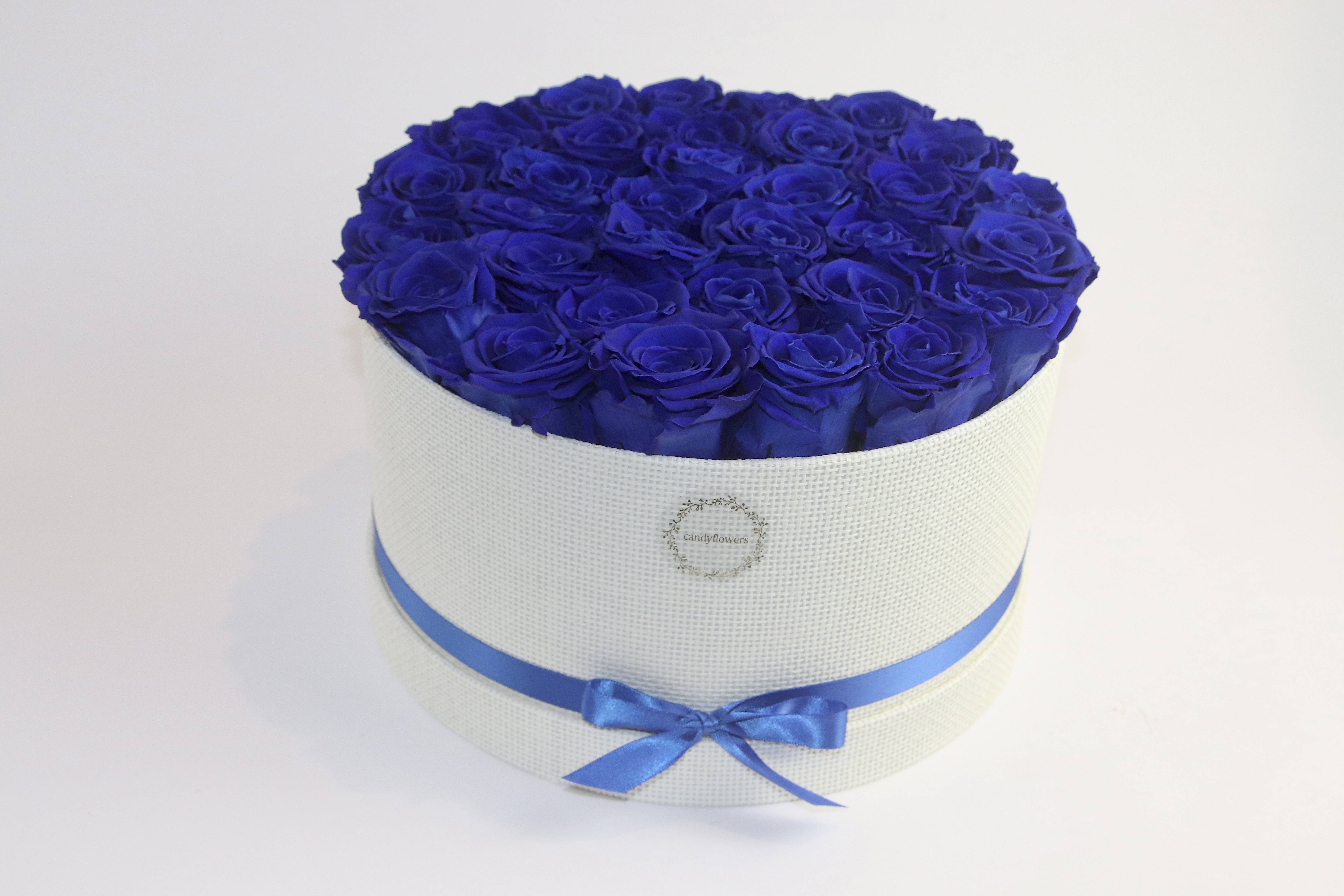 Big rose  éternelle bleue 