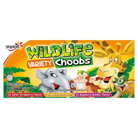 Wildlife Choobs Multiflavour Yogurt (6 pack, 37 g)