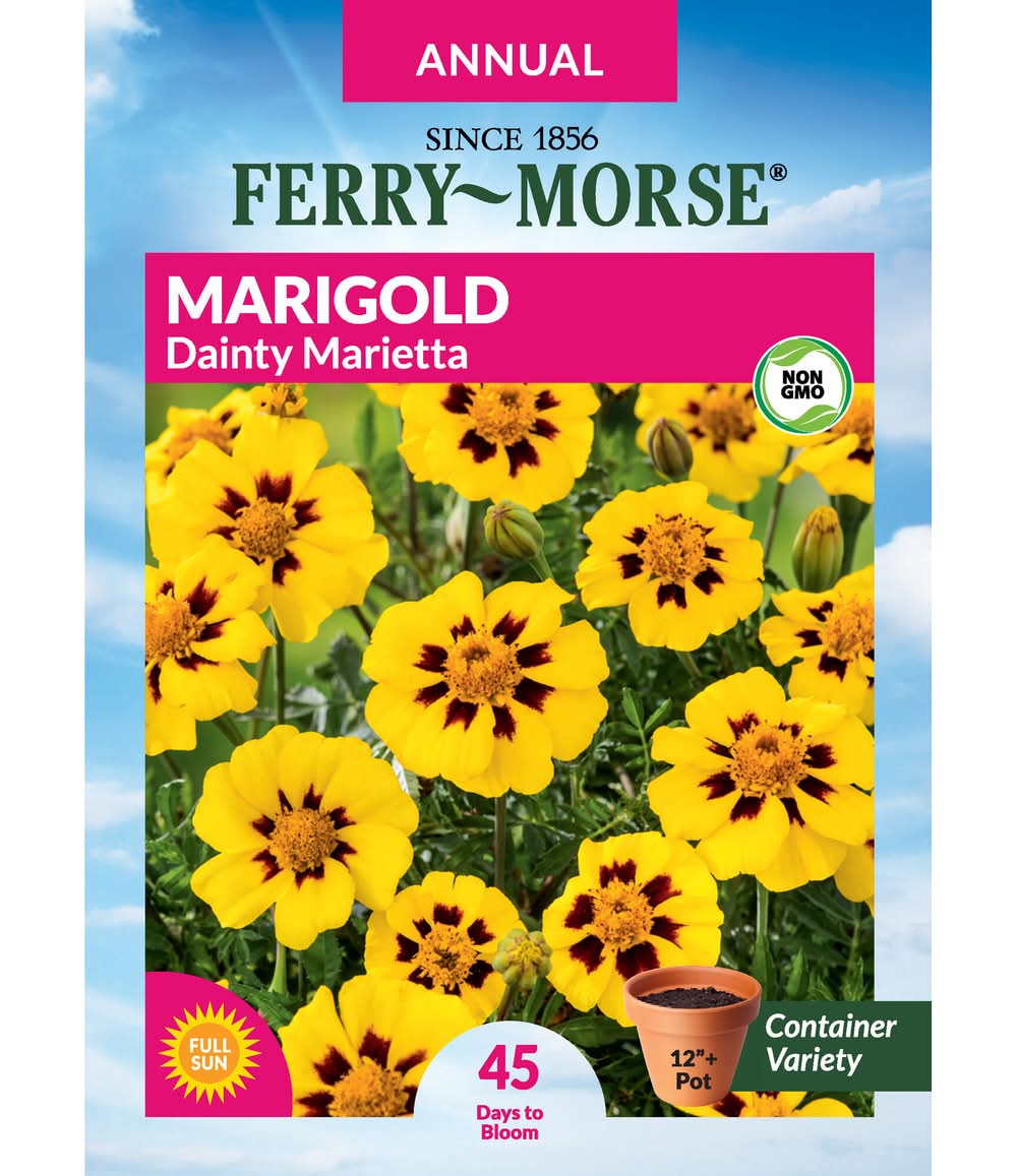 Ferry-Morse Marigold Seeds 300 Milligram(s)