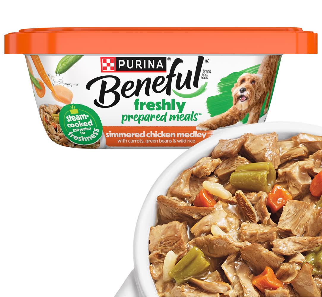 Purina Simmered Chicken Wet Dog Food (10 oz)