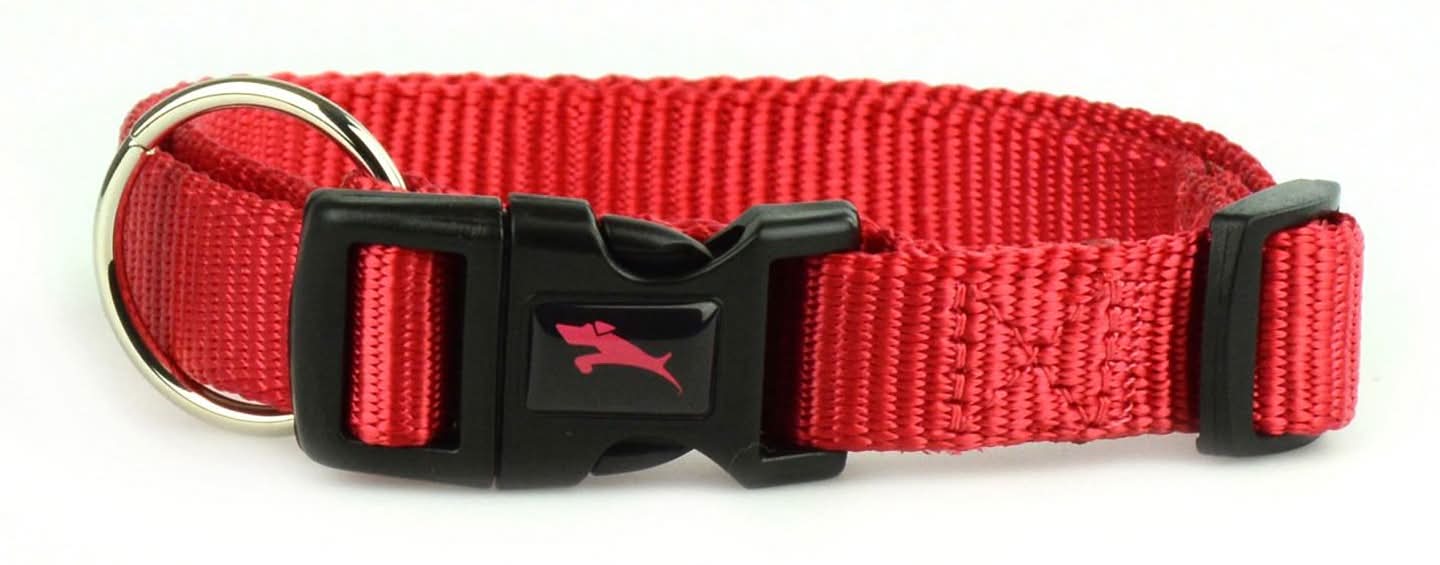JUMP! Nylon Adjustable Red Dog Collar, Medium
