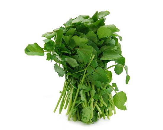 Watercress Berro (1 ct)