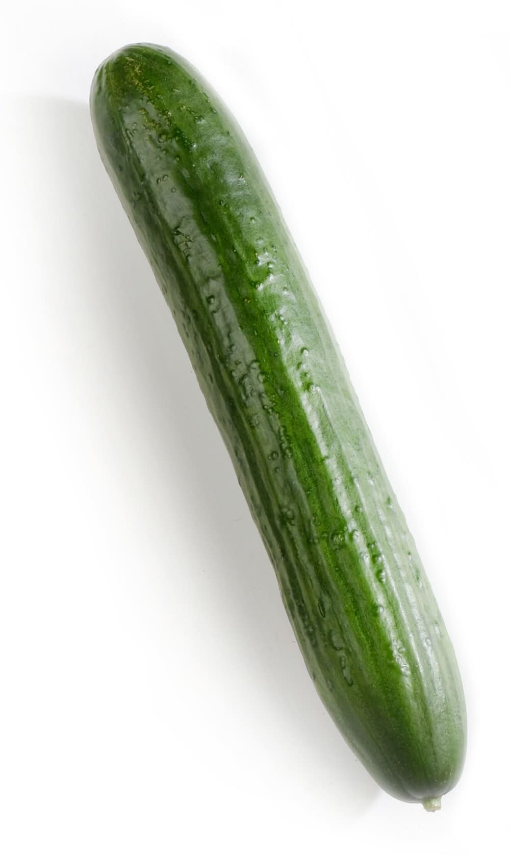 English Seedless Cucumber