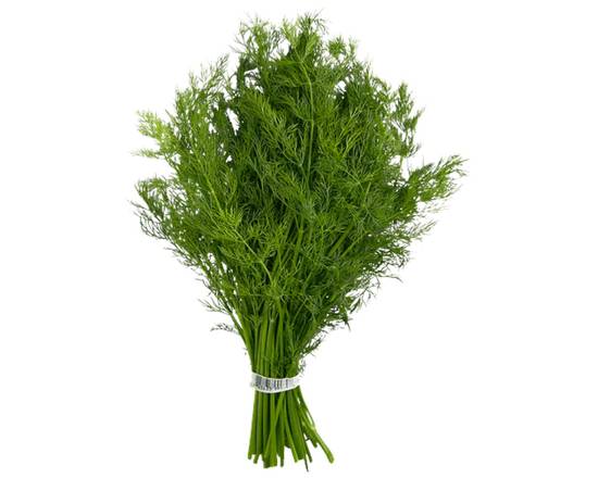 Aneth - Dill (1 Bunch)