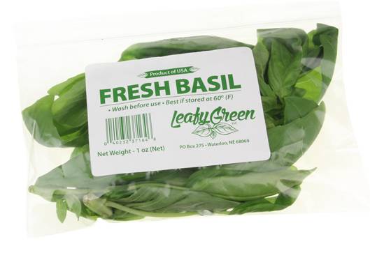 Leafy Green Fresh Basil
