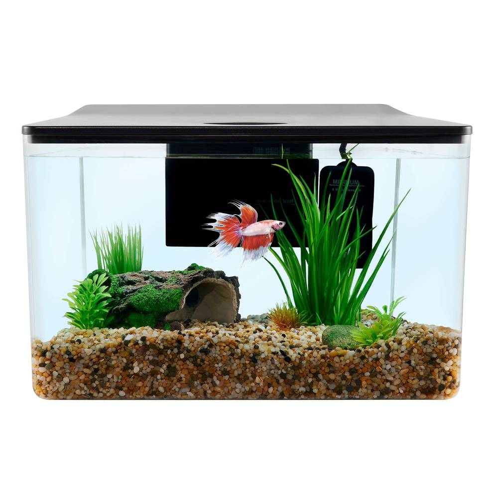 Top Fin Trapezoid Aquarium - 3G (Size: 3 Gal)