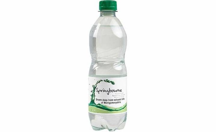 Sparkling Water (Plastic)