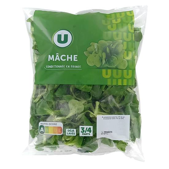 U - Bouquet de mâche