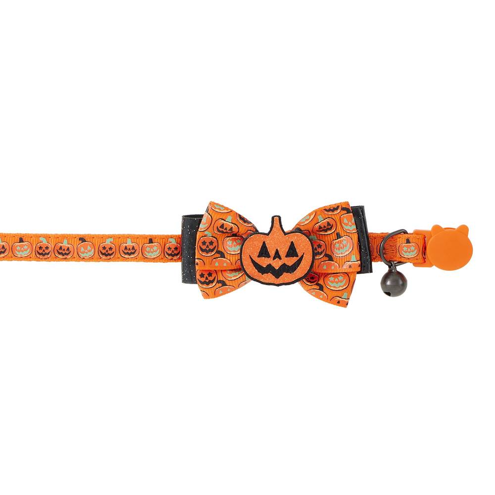 Petsmart Thrills & Chills Embellish Pumpkin Adjustable Collar (kitten/orange)