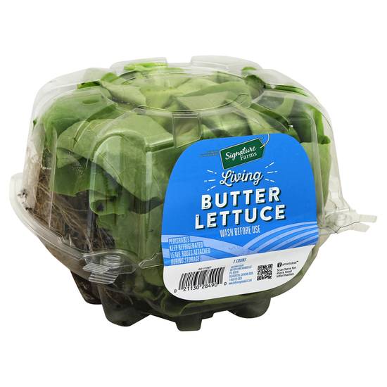 Signature Farms Living Butter Lettuce