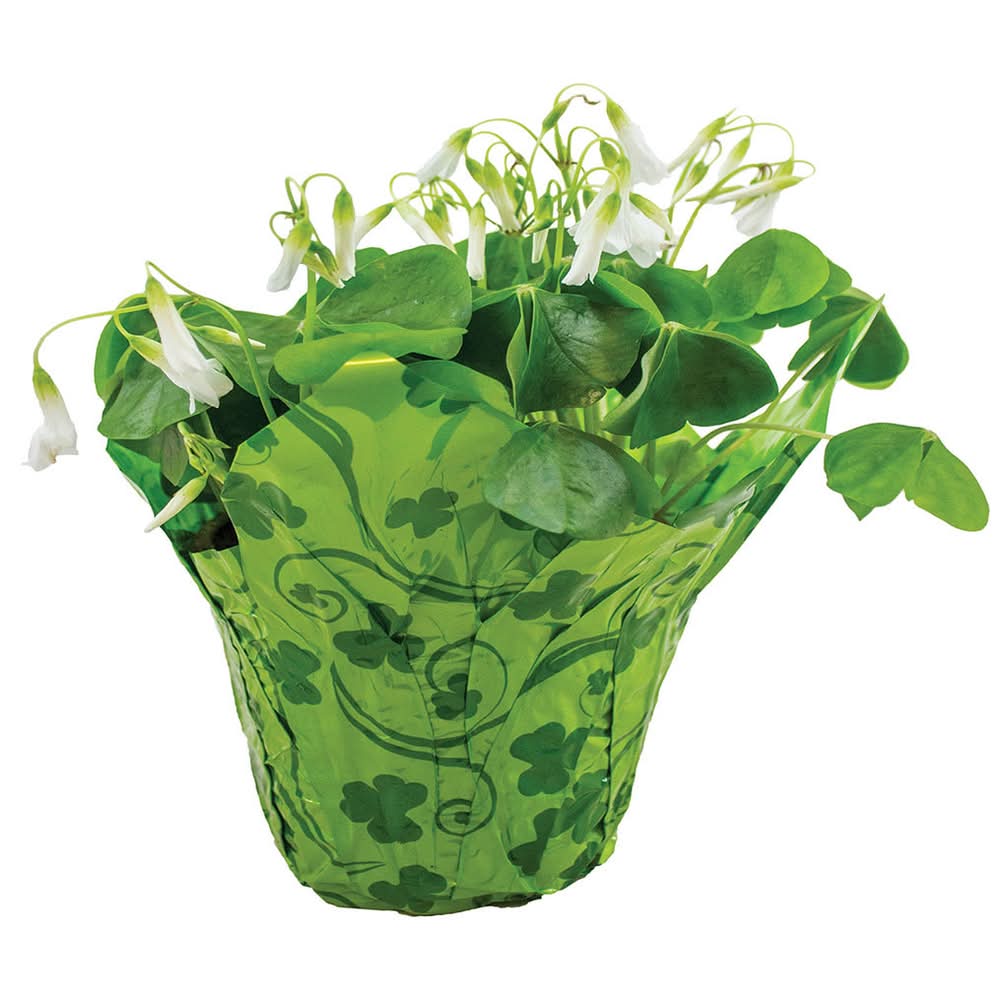 Floral Shamrock (4 In)