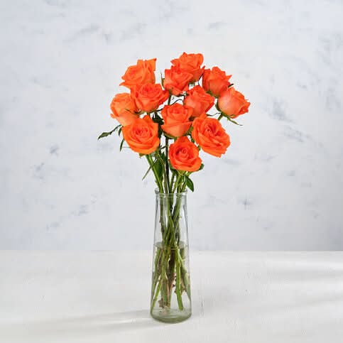 Co-op Fairtrade Roses EACH