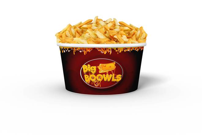 Cheezy fries