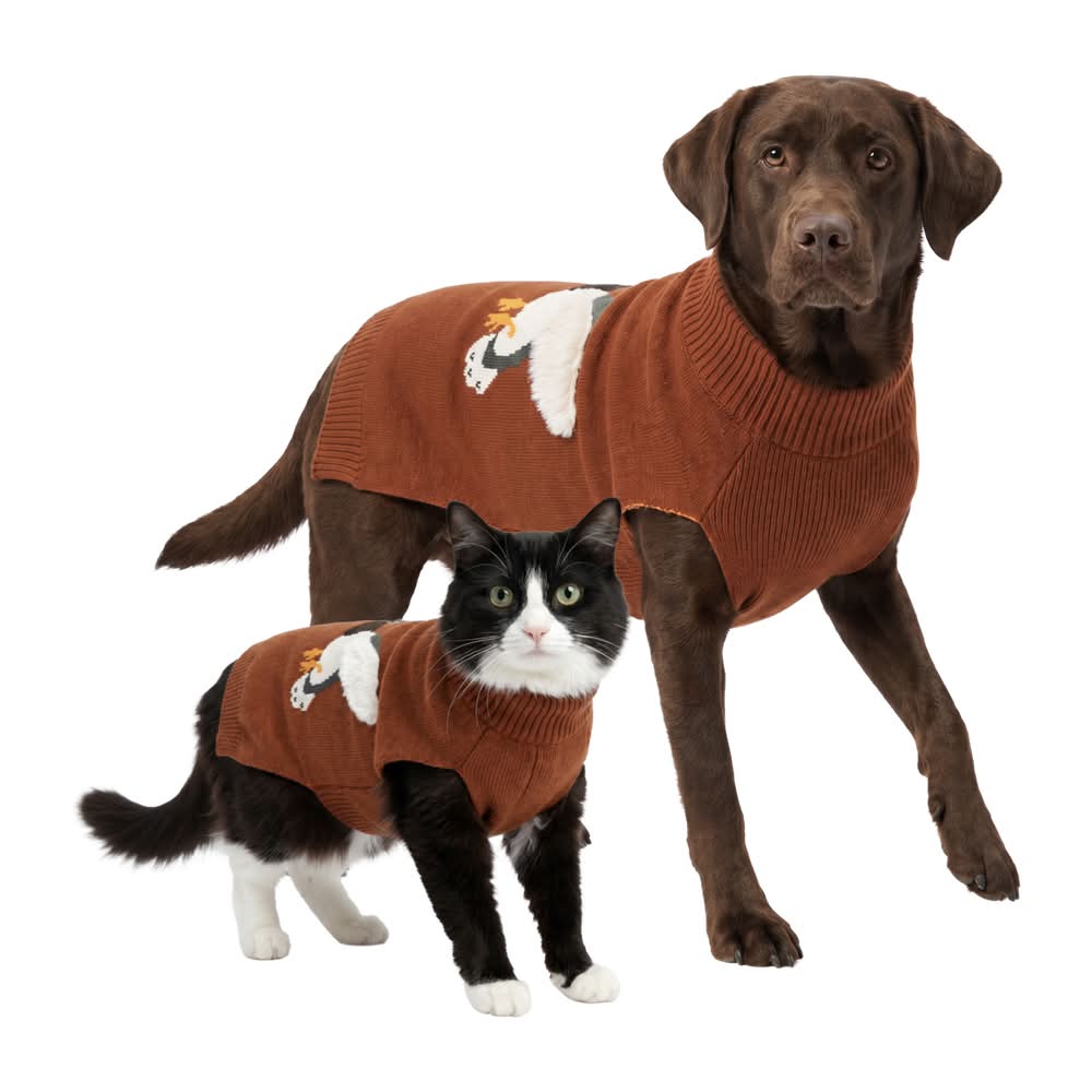 Play On Mallard Dog or Cat Sweater, Extra Extra Large