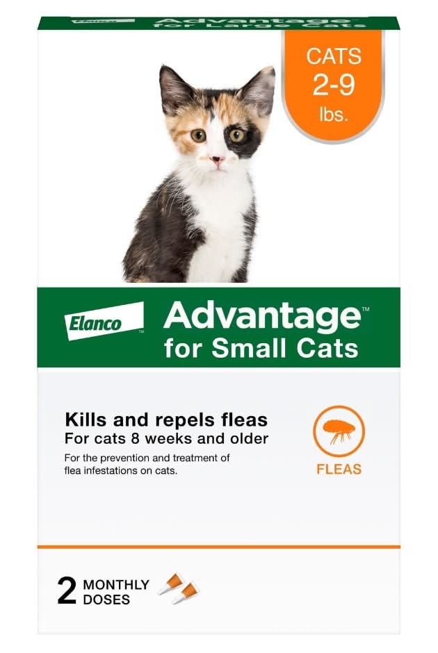 Advantage Flea and Ticks Small Cats Treatment