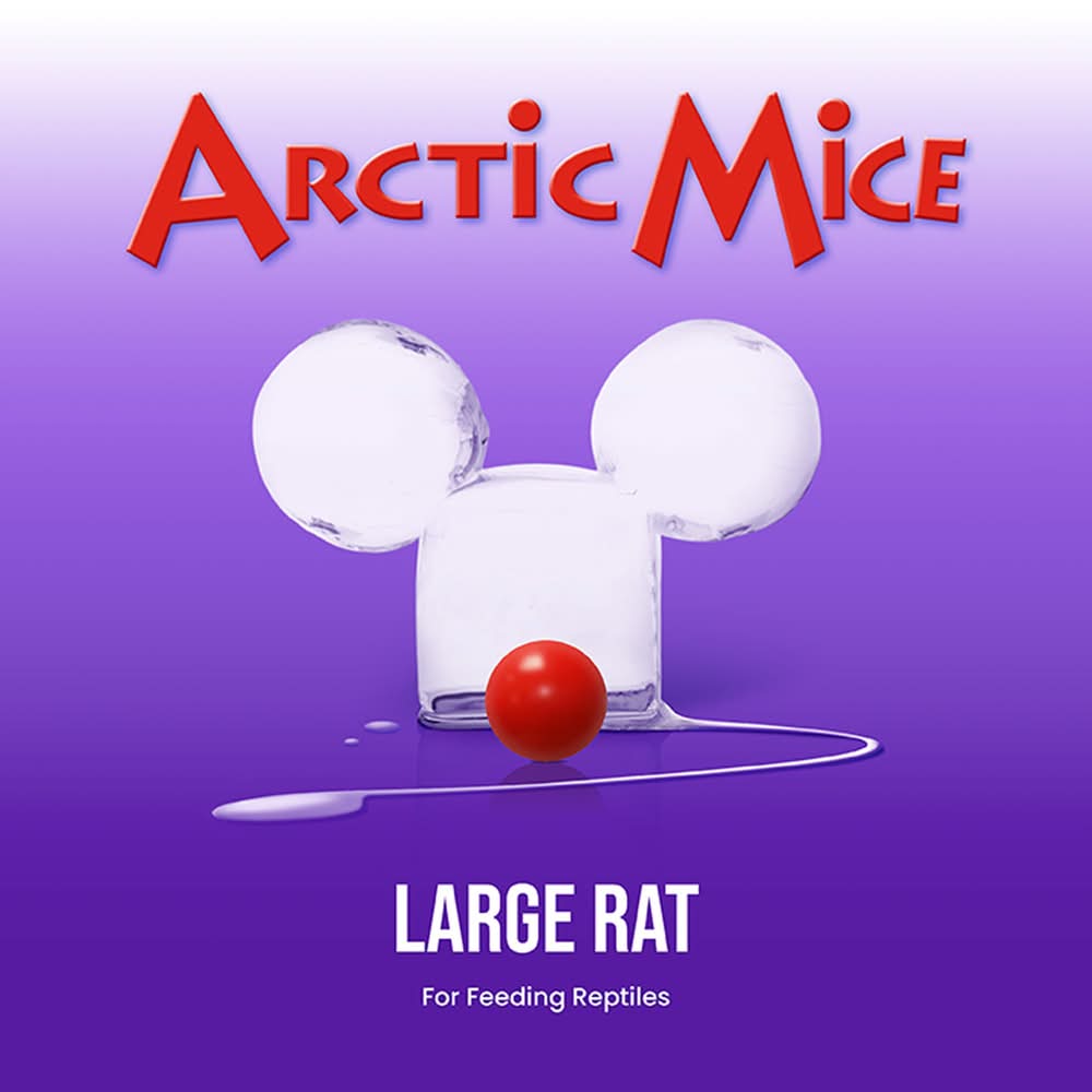 Arctic Mice Frozen Large Rats - Snake Food - 1 ct