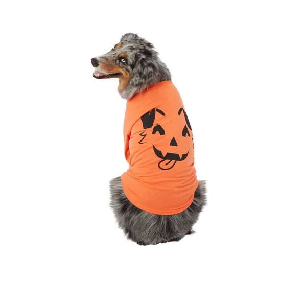 PetSmart Has New Hocus Pocus Toys and Halloween Costumes for Pets