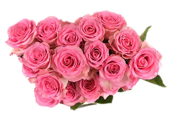 Wegmans Two Dozen Long Stem Roses