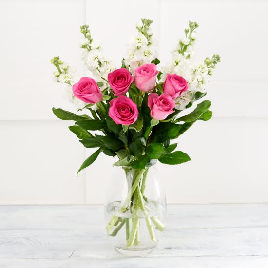 Sainsbury's Rose and Stocks