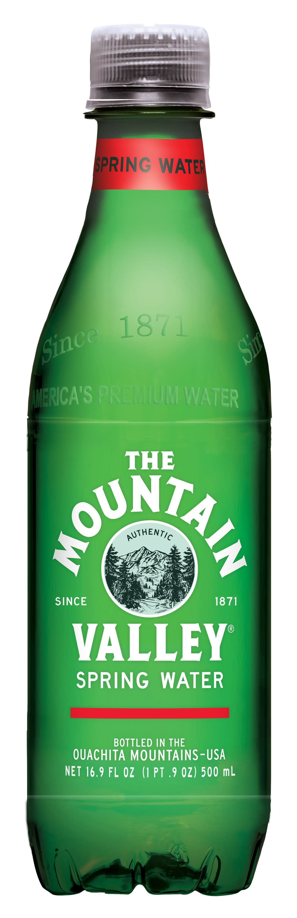 The Mountain Valley Spring Water (0.5 L)