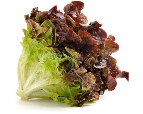 Laitue en feuilles rouges (Gr 24) - Red leaf lettuce (In bulk)