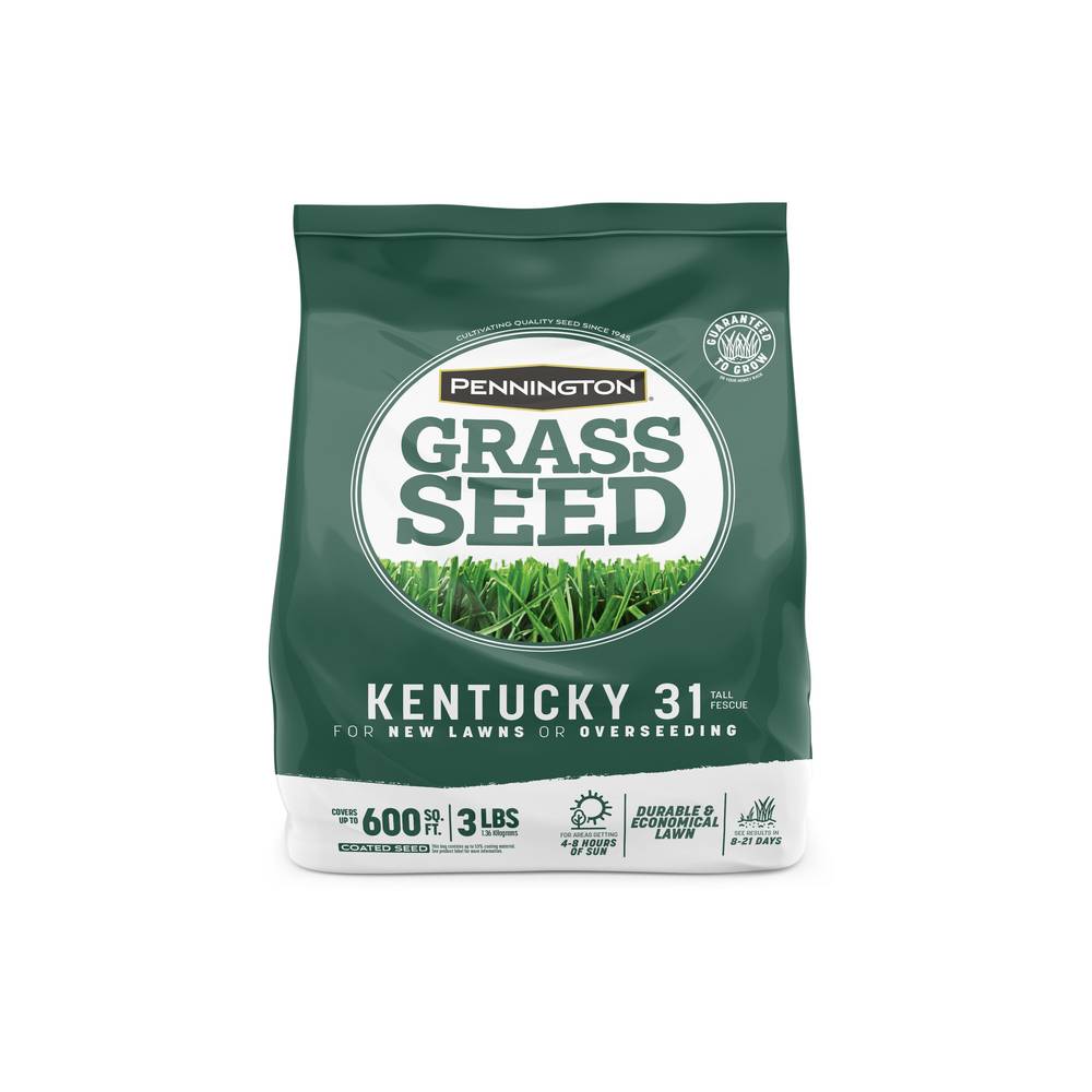 Pennington Kentucky 31 3-lb Tall Fescue Grass Seed | 2149601427