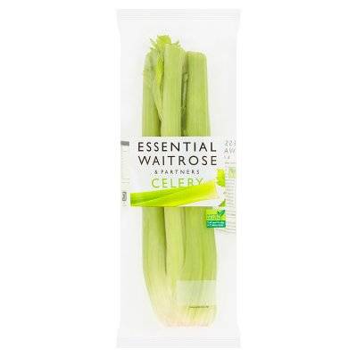 Essential Green Celery (Each)