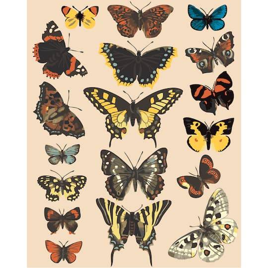 Artist's Loft Butterflies Paint-By-Number Kit (40 ct) (16" x 20")