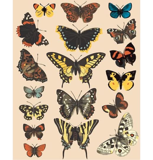 Artist's Loft Butterflies Paint By Number Kit, 16x20 in (40 ct)