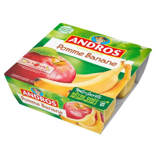 Andros - Dessert fruitier pommes et banane (4 pièces)