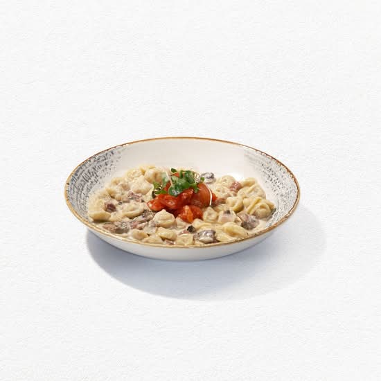 Tortellini Cosmos / Tortellini Cosmos