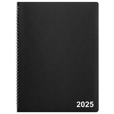 Staples 2025 Monthly Planner (st12943-25), Black