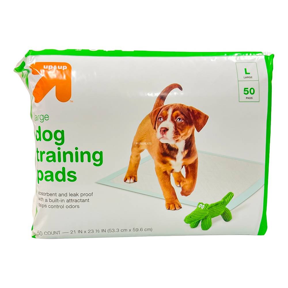 up&up Dog Training Pads, Large (50 ct)