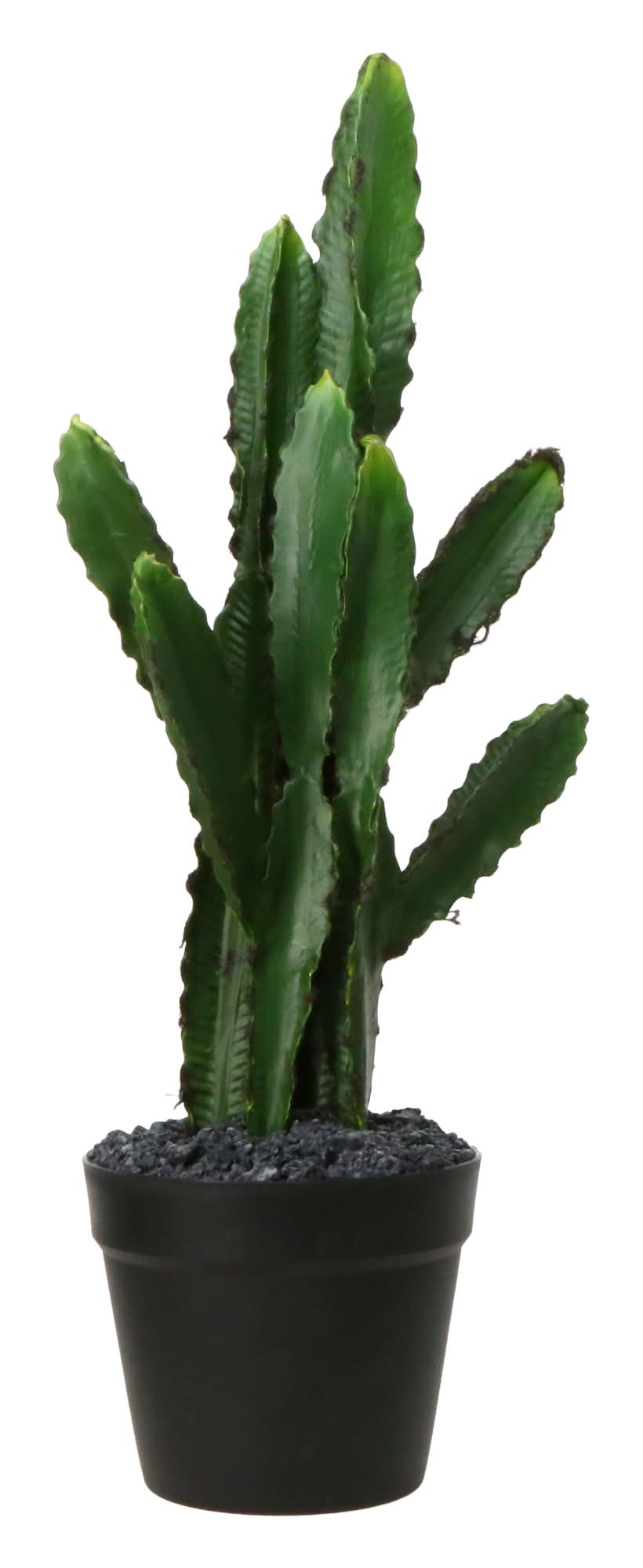 Large Saguaro Cactus Faux House Plant 8in x 27in