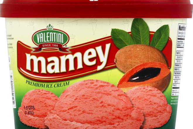 Valentini Mamey Premium Ice Cream