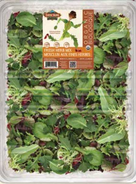 Classic Salad Organic Herb Mix