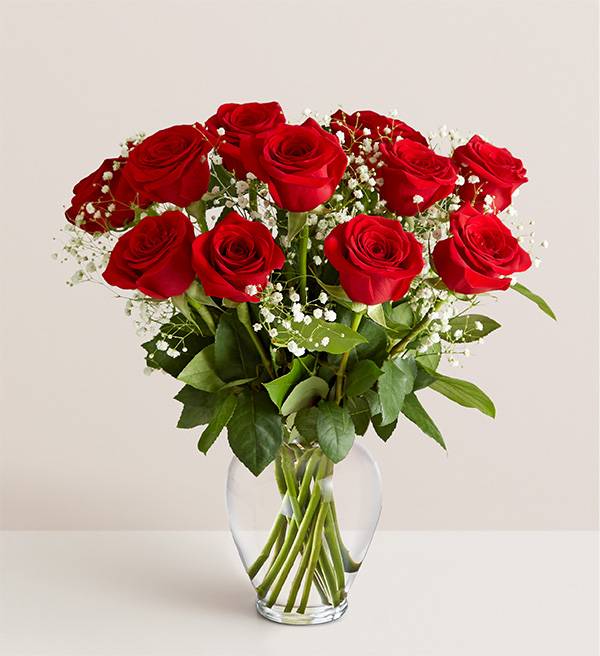 One Dozen Red Roses