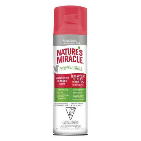 Nature's Miracle Stain & Odor Remover Foam For Dogs (496 g)