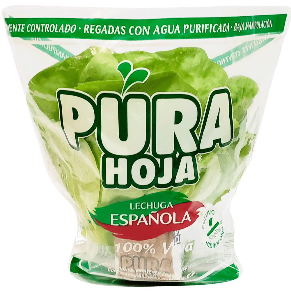 Pura Hoja · Lechuga española
