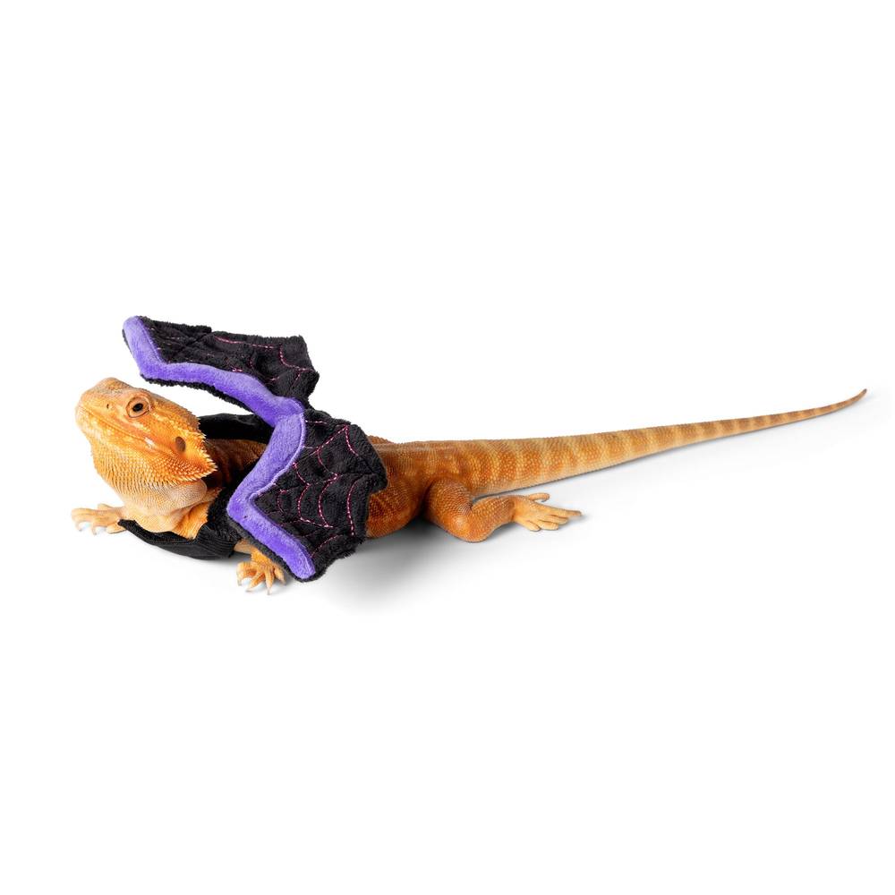 Thrills & Chills Bat Wings Reptile Costume (Size: Small)