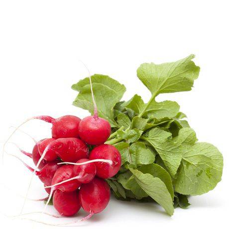 Radish