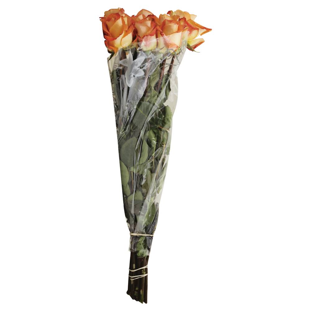 Safeway Rose Bouquet (multicolor)